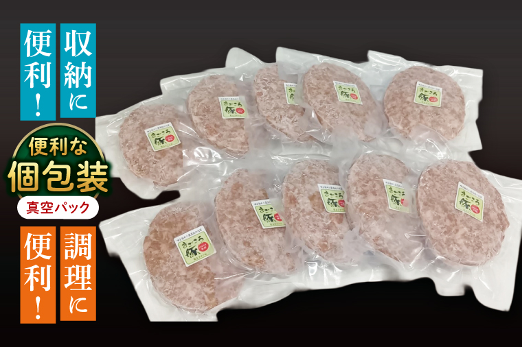 【茨城県共通返礼品】国産まごころ豚ハンバーグ200g×10個【高品質 豚肉 銘柄豚 ブランド豚 人気豚肉 個包装 冷凍 茨城県産 阿見町】(92-02)