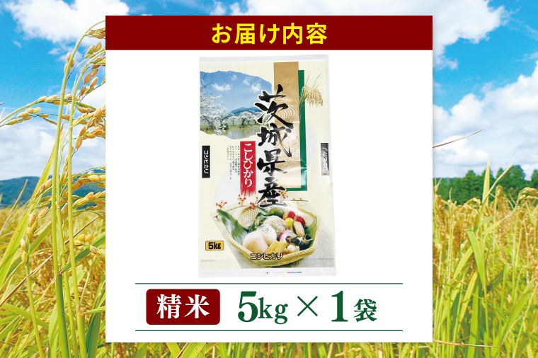茨城県産 コシヒカリ 精米 5kg | 令和7年産 美味しい 茨城県産米（94-01）