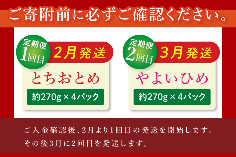 【先行予約2月から1回目発送】【茨城県共通返礼品/行方市産】食べ比べいちご・2回定期便「とちおとめ」「やよいひめ」(4パック入×2回)|甘い 苺 減農薬栽培 (96-03)