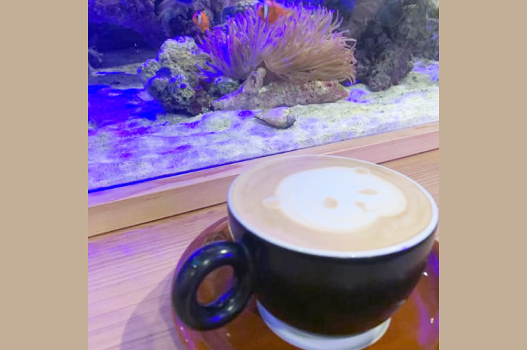 海のあるカフェ cafe DE mare 商品券（お食事券１枚 1100円分）｜コーヒー ドリンク 食事 生菓子 焼き菓子 大型水槽 海洋魚 隠れ家（97-01）