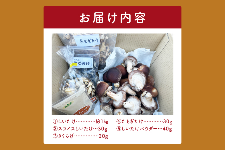 【先行予約】【10月発送】生しいたけ1kgと乾燥キノコセット｜椎茸 きくらげ キクラゲ しいたけパウダー（99-01）