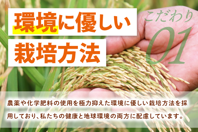 【3ヶ月定期便】令和7年産 茨城県特別栽培米コシヒカリ ネオニコフリー玄米5㎏｜米 おこめ こしひかり 農家直送 直送 茨城県 阿見町（04-31）