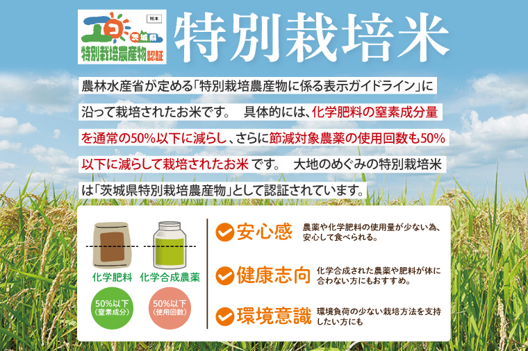 【令和7年9月20日以降順次発送】【先行予約】新米令和7年産茨城県特別栽培認証 清明川コシヒカリ白米5kg×2袋【米 おこめ こしひかり  特別栽培米 農家直送 直送 茨城県 阿見町】（04-02-1）