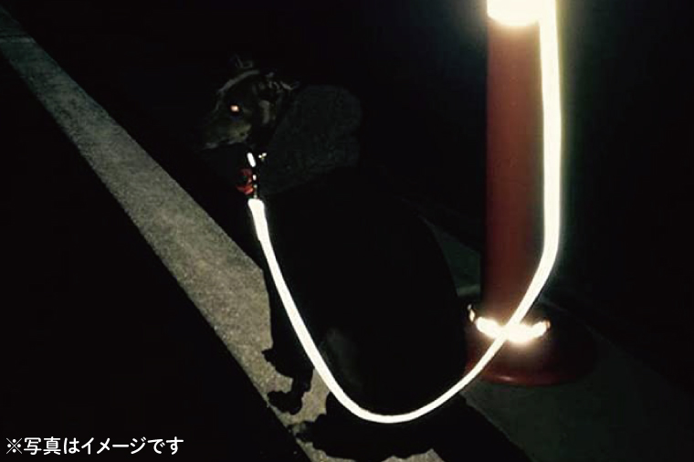 『虹ストライプ柄』オリジナル反射材の光る犬用リード【小型犬10kg用】【散歩 愛犬 夜散歩 阿見町 茨城県】(40-03)
