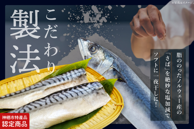 【3ヶ月定期便】【茨城県共通返礼品/神栖市】大トロさば文化干し 6パック｜一夜干し 飽和脂肪酸 EPA DHA 阿見町 茨城県(48-02)
