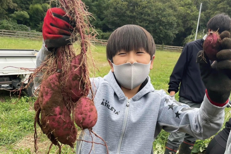 【先行予約12月下旬から発送】生芋20kg S～Lサイズ混合 2箱｜サツマイモ さつま芋 さつまいも 芋 いも 野菜  紅はるか 茨城県 阿見町 阿見 20000円以内 2万円以内(56-07)