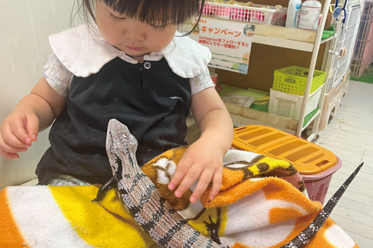 ふれあい動物園ANIMA 動物園２時間貸し切り優待券【動物 どうぶつ 動物園 チケット 阿見町 茨城県】（61-02）