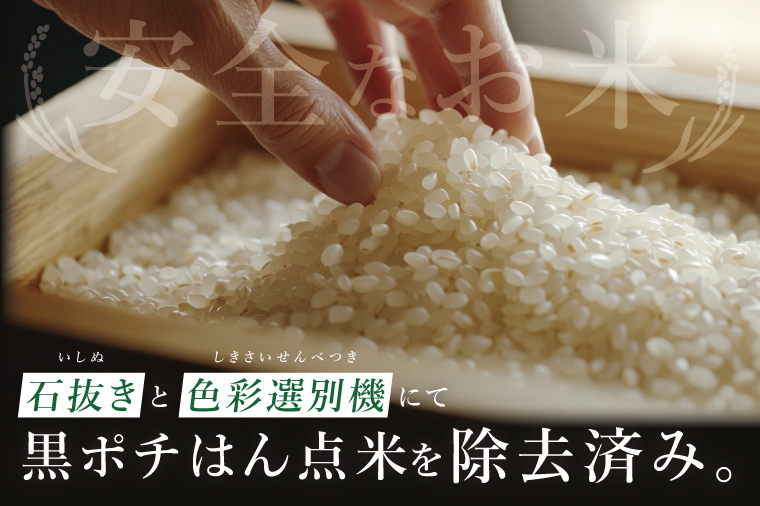 【10ヶ月定期便】茨城県産にじのきらめき　精米　5kg｜精米 定期便 お米 米 こめ コメ ごはん 白米 阿見町 茨城県 茨城県産 茨城県産米 安心 安全 送料無料 国産 人気 数量限定 高評価（85-124）