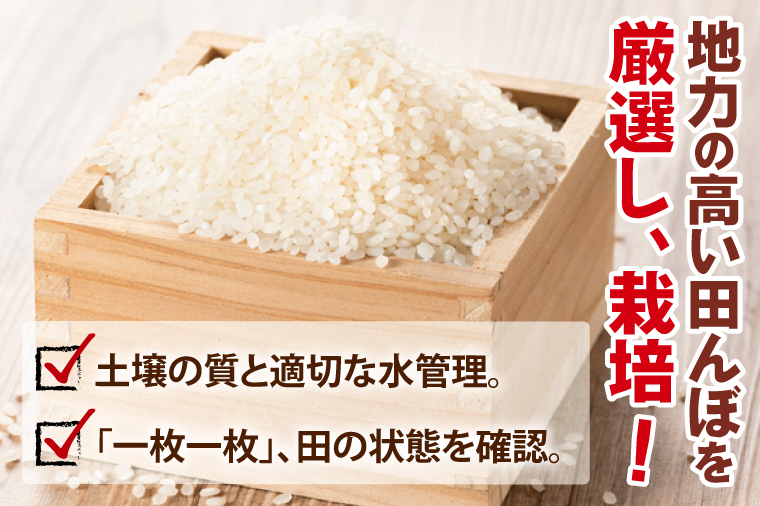 【4ヶ月定期便】茨城県産コシヒカリ　精米　15kg｜精米 定期便 お米 米 こめ コメ ごはん 白米 阿見町 茨城県 茨城県産 茨城県産米 安心 安全 送料無料 国産 人気 数量限定 高評価（85-163）
