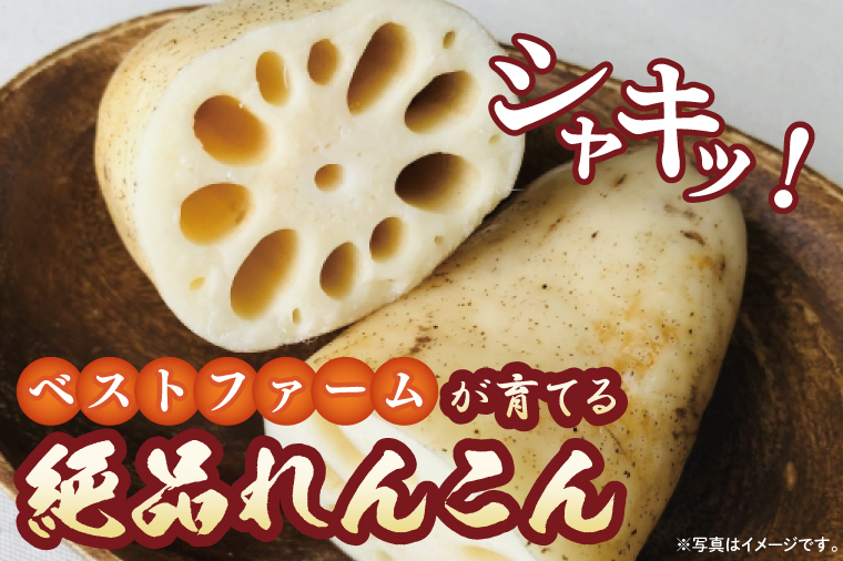 【期間限定】れんこん4kg【絶品 蓮根 レンコン 高級感 茨城県産 茨城県 阿見町】(89-02)