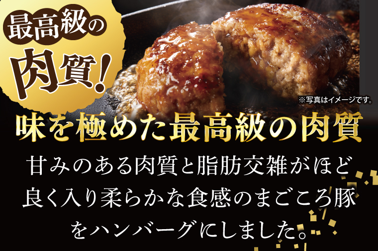 【茨城県共通返礼品】国産まごころ豚ハンバーグ200g×10個【高品質 豚肉 銘柄豚 ブランド豚 人気豚肉 個包装 冷凍 茨城県産 阿見町】(92-02)