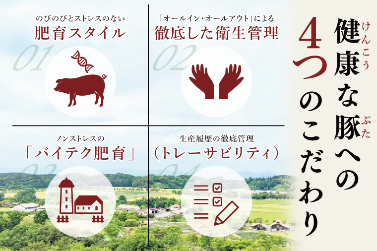 【茨城県共通返礼品/鉾田市】国産まごころ豚バラブロック1.0㎏| 甘い おいしい 良品質 最上級 茨城県産(92-07)