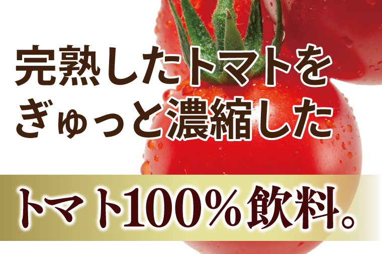 カゴメ 濃厚リコピン トマトジュース 720ml×15個｜KAGOME とまと 野菜 高リコピン（93-202）