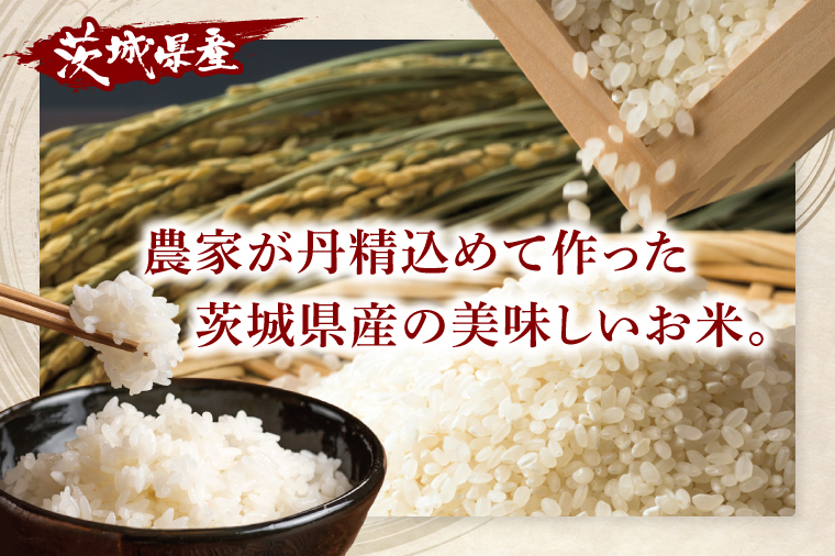 茨城県産ミルキークイーン 精米 5kg | 令和7年産 新米 美味しい 茨城県産米（94-03）