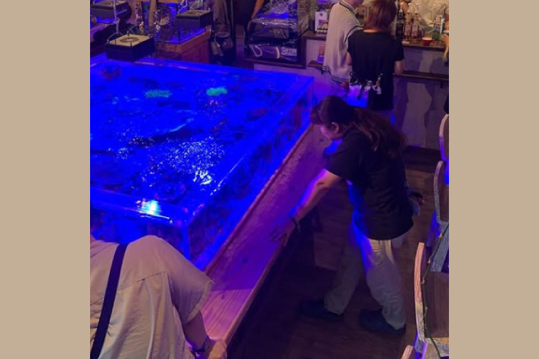 海のあるカフェ cafe DE mare 商品券（お食事券１枚 1100円分）｜コーヒー ドリンク 食事 生菓子 焼き菓子 大型水槽 海洋魚 隠れ家（97-01）