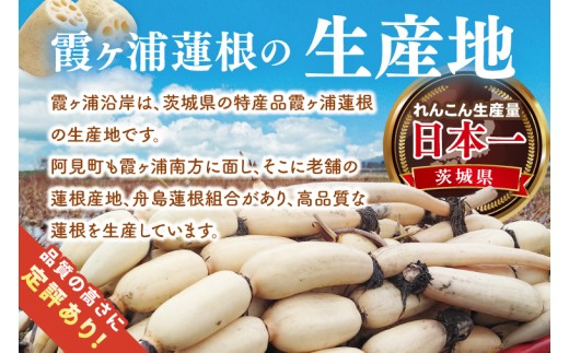 【年末配送】先行予約 れんこん 3kg 特選 ふなしま蓮根 蓮根 レンコン 朝採り 3本 ～ 5本 贈答用 熨斗 お歳暮 希少品種 幻 老舗 朝採れ 産地直送 新鮮 野菜 根菜 【2026年10月より順次発送】（82-03-a） 3kg（年末配送）