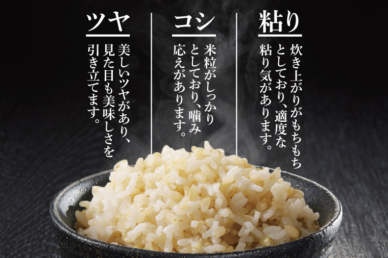 【3ヶ月定期便】茨城県特別栽培認証 清明川コシヒカリ玄米 5kg【米 おこめ こしひかり  特別栽培米 農家直送 直送 茨城県 阿見町】（04-21）