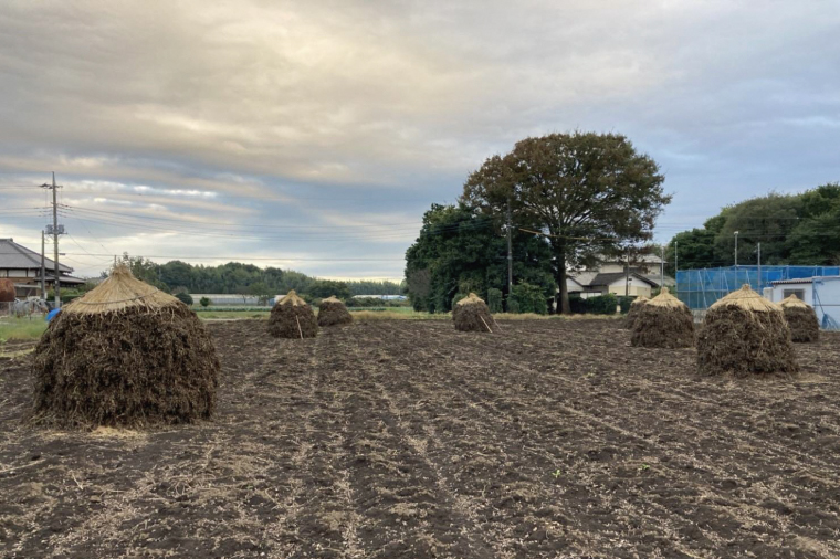 茨城県阿見町産 落花生 中手豊 300ｇ×3袋入り【ピーナッツ おつまみ 殻付き 国産 阿見町 茨城県】（04-27）