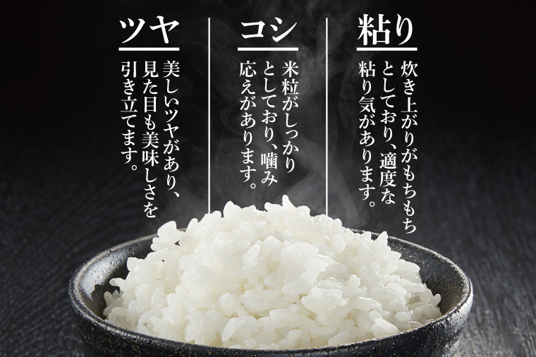 【令和7年9月20日以降順次発送】【先行予約】新米令和7年産茨城県特別栽培認証 清明川コシヒカリ白米5kg×2袋【米 おこめ こしひかり  特別栽培米 農家直送 直送 茨城県 阿見町】（04-02-1）