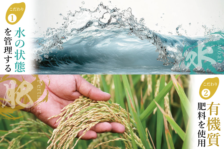 「茨城県産 茨城県産米」「霞ヶ浦のおいしいお米」令和7年産ミルキークイーン10kg【米 ごはん 霞ヶ浦 茨城県 阿見町】（13-01-2）