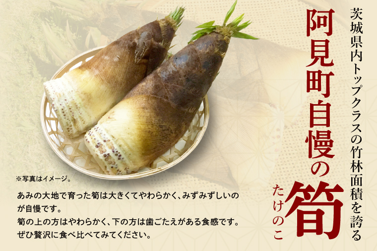 【先行予約】【2026年4月初旬より発送開始】茨城県阿見町産 たけのこ6kg｜朝採れ 旬  春限定 数量限定 国産 タケノコ 筍 孟宗竹 無農薬 常温発送 産地直送（23-01）