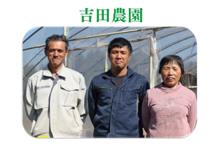 【先行予約】茨城県産大玉スイカ4Lサイズ（9～10kg）【茨城県 阿見町 スイカ 1玉 すいか 西瓜 果物 くだもの フルーツ 国産 甘い 送料無料】（04-26）