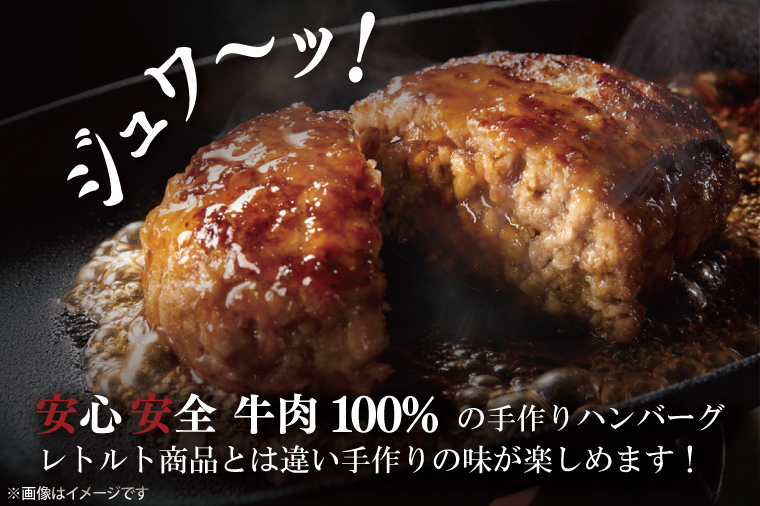 【茨城県共通返礼品】常陸牛100％ ハンバーグ 120g×6個【黒毛和牛 牛肉 銘柄牛 真空 小分け 個包装 冷凍 茨城県 阿見町】(81-46)