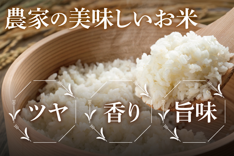 【4ヶ月定期便】阿見町産農家の美味しいお米　精米　10kg｜精米 定期便 お米 米 こめ コメ ごはん 白米 阿見町 茨城県 茨城県産 茨城県産米 安心 安全 送料無料 国産 人気 数量限定 高評価（85-175）