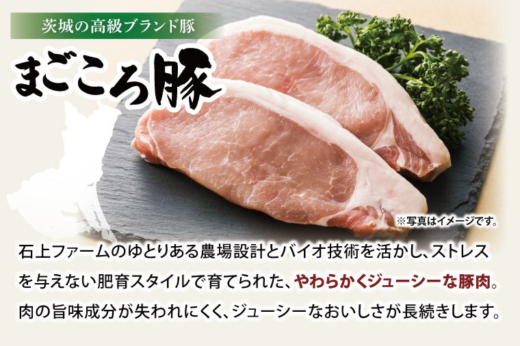 【茨城県共通返礼品】国産まごころ豚ハンバーグ200g×10個【高品質 豚肉 銘柄豚 ブランド豚 人気豚肉 個包装 冷凍 茨城県産 阿見町】(92-02)