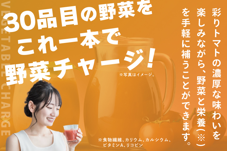 【3回定期便】カゴメ野菜一日これ一杯 720ml×15本｜KAGOME 野菜 果実 おいしい 手軽 ジュース 飲料 野菜ジュース（93-215）