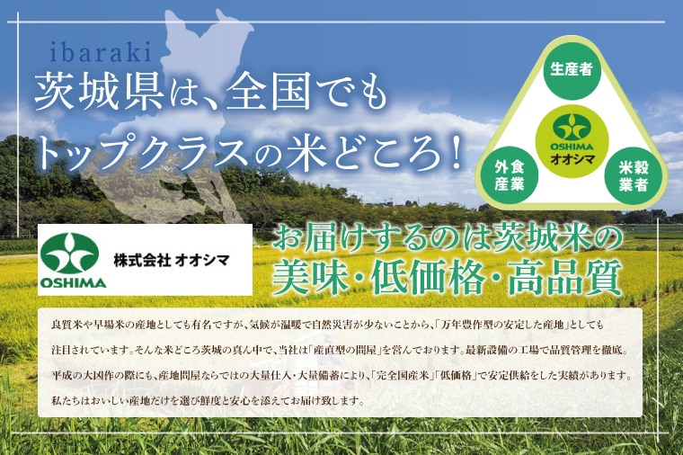 茨城県産ミルキークイーン 精米 5kg ×2 (10kg) | 令和7年産 美味しい 茨城県産米（94-04）