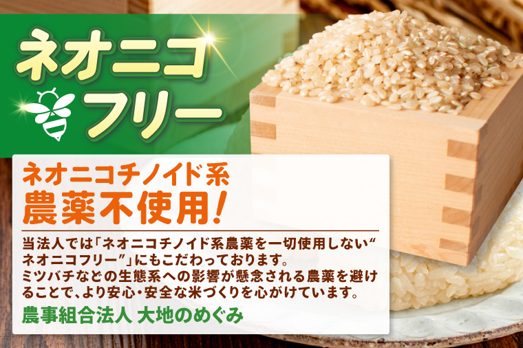 【3ヶ月定期便】令和7年産 茨城県特別栽培米コシヒカリ ネオニコフリー玄米5㎏｜米 おこめ こしひかり 農家直送 直送 茨城県 阿見町（04-31）