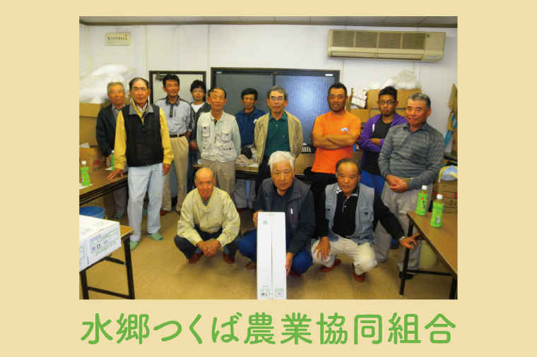 阿見レンコン（Mサイズ 5本程度 約4kg）【れんこん 蓮根 肉厚 しゃきしゃき 煮物 きんぴら】(20-01)