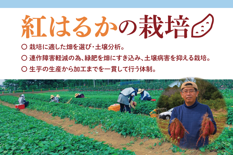 04-08 【先行予約】茨城県阿見町産 干し芋（紅はるか）スライス 150g×3【国産 スイートポテト おいも スイーツ ほしいも さつまいも おやつ お菓子 和菓子 和スイーツ 阿見町 茨城】