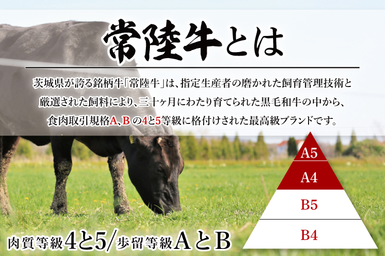 【茨城県共通返礼品】【3ヶ月定期便】常陸牛切り落とし 1kg（500g×2）【黒毛和牛 国産 銘柄牛 牛肉 肉 冷凍 茨城県産】(81-16)
