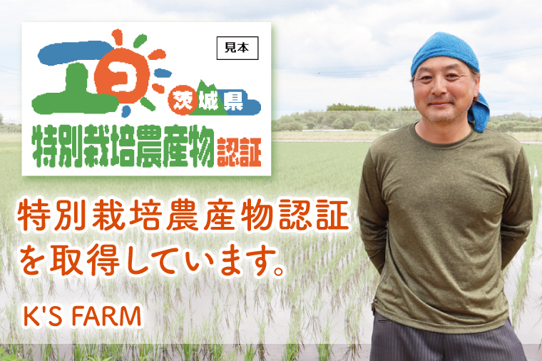 【寄付額改定！】特別栽培農産物認証 コシヒカリ玄米５㎏ 特栽米 ネオニコフリー｜減農薬 減化学肥料 安心 安全 こしひかり 白米 弁当 おにぎり オニギリ 有機肥料 特別栽培米 エコ農産物 茨城県産米(86-02)