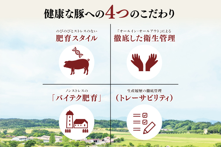 【茨城県共通返礼品】国産まごころ豚ハンバーグ200g×10個【高品質 豚肉 銘柄豚 ブランド豚 人気豚肉 個包装 冷凍 茨城県産 阿見町】(92-02)