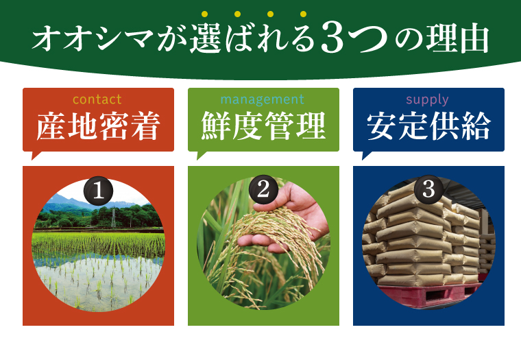 茨城県産 コシヒカリ 精米 5kg | 令和7年産 美味しい 茨城県産米（94-01）
