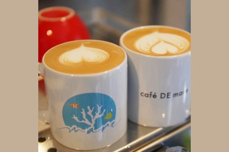 海のあるカフェ cafe DE mare 商品券（お食事券１枚 1100円分）｜コーヒー ドリンク 食事 生菓子 焼き菓子 大型水槽 海洋魚 隠れ家（97-01）