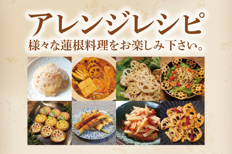 【特選】ふなしま蓮根（4kg箱）3～6本｜レシピ 高品質 幻の蓮根 老舗 希少品種 柔らかい (82-01-1)