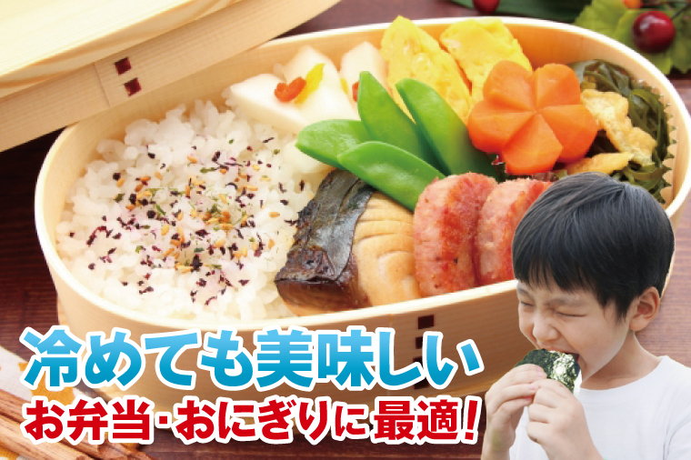 【3ヶ月定期便】茨城県産コシヒカリ　無洗米　5kg｜無洗米 定期便 お米 米 こめ コメ ごはん 白米 阿見町 茨城県 茨城県産 茨城県産米 安心 安全 送料無料 国産 人気 数量限定 高評価（85-26）