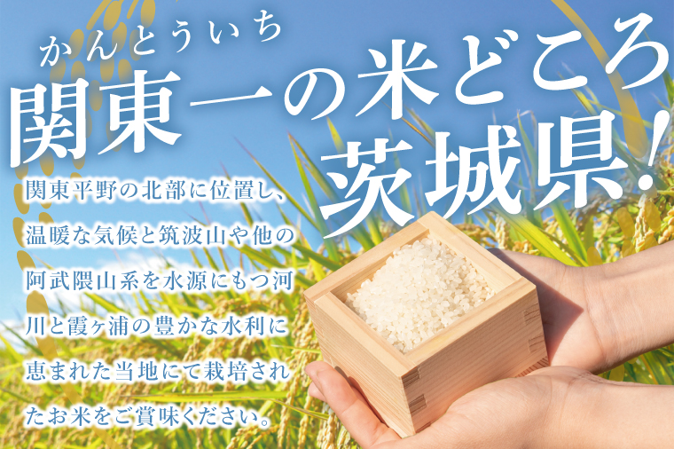 【6ヶ月定期便】茨城県産コシヒカリ　精米　5kg｜お米 米 ごはん 阿見町 茨城県 茨城県産 茨城県産米（85-86）