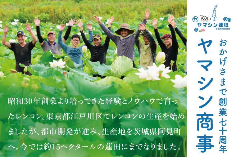 ヤマシン蓮根　贈答用2kg|レンコン 贈答 プレゼント 食物繊維 新鮮 シャキシャキ  茨城県 阿見町 （98-01）