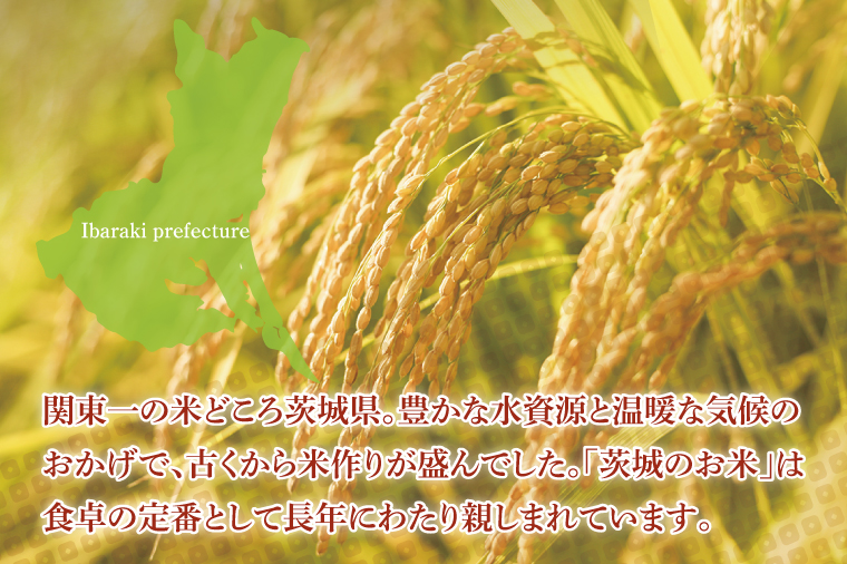 【12ヶ月定期便】茨城県産コシヒカリ　精米　5kg｜お米 米 ごはん 阿見町 茨城県 茨城県産 茨城県産米（85-104）