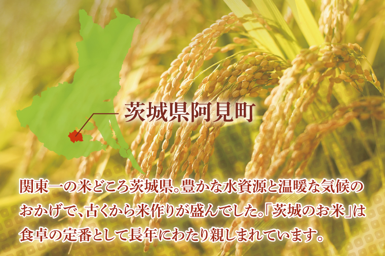 【10ヶ月定期便】阿見町産コシヒカリ　精米　5kg｜精米 定期便 お米 米 こめ コメ ごはん 白米 阿見町 茨城県 茨城県産 茨城県産米 安心 安全 送料無料 国産 人気 数量限定 高評価（85-97）