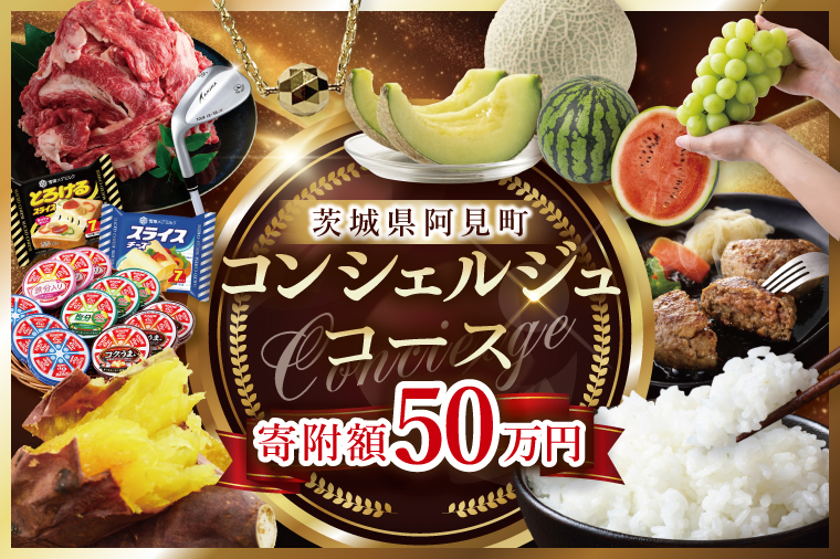 【提案型】コンシェルジュコース(50万円)（000-10）