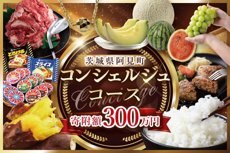 【提案型】コンシェルジュコース(300万円)（000-14）