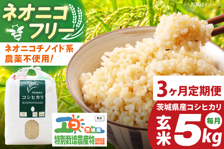 【3ヶ月定期便】令和7年産 茨城県特別栽培米コシヒカリ ネオニコフリー玄米5㎏｜米 おこめ こしひかり 農家直送 直送 茨城県 阿見町（04-31）