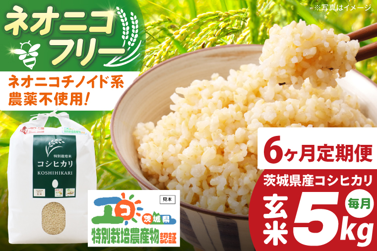 【6ヶ月定期便】令和7年産 茨城県特別栽培米コシヒカリ ネオニコフリー玄米5㎏｜米 おこめ こしひかり 農家直送 直送 茨城県 阿見町（04-32）