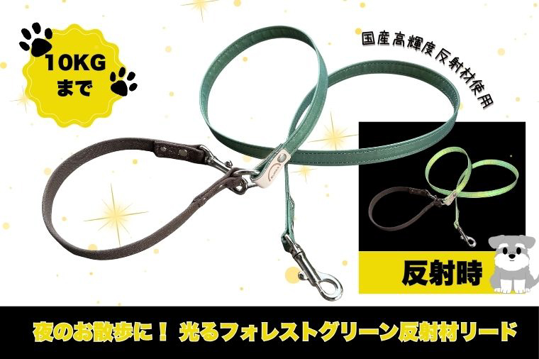 『ギラギラ・フォレストグリーン』犬用光るリード/特注高輝度反射材使用【小型犬用10キロまで】｜散歩 愛犬 夜散歩 阿見町 茨城県（40-35）